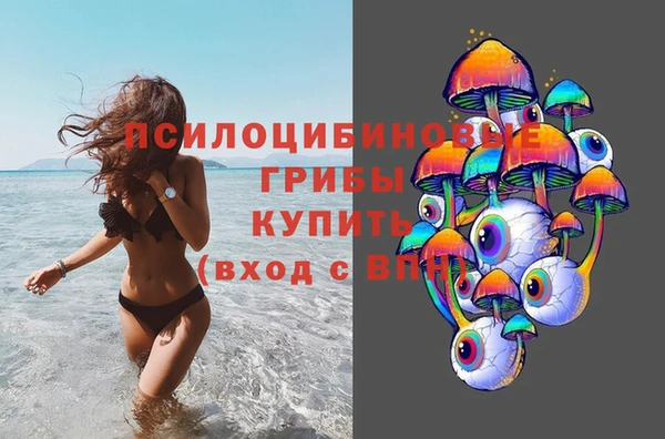 кокс Абаза