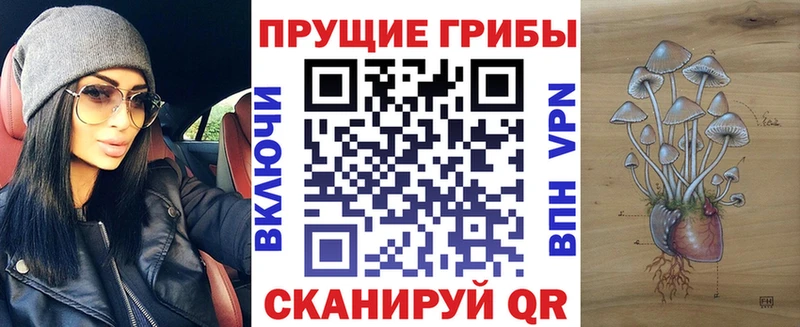 darknet Telegram  Рославль  Галлюциногенные грибы GOLDEN TEACHER 
