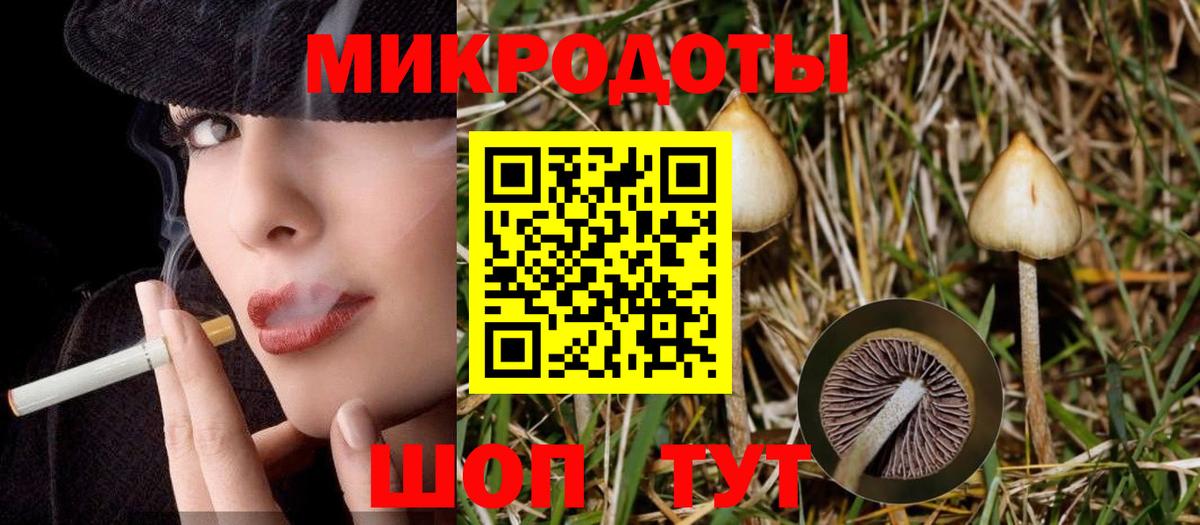 Рославль  Галлюциногенные грибы MAGIC MUSHROOMS  Вход с VPN  где можно купить   Псилоцибиновые грибы MAGIC MUSHROOMS 