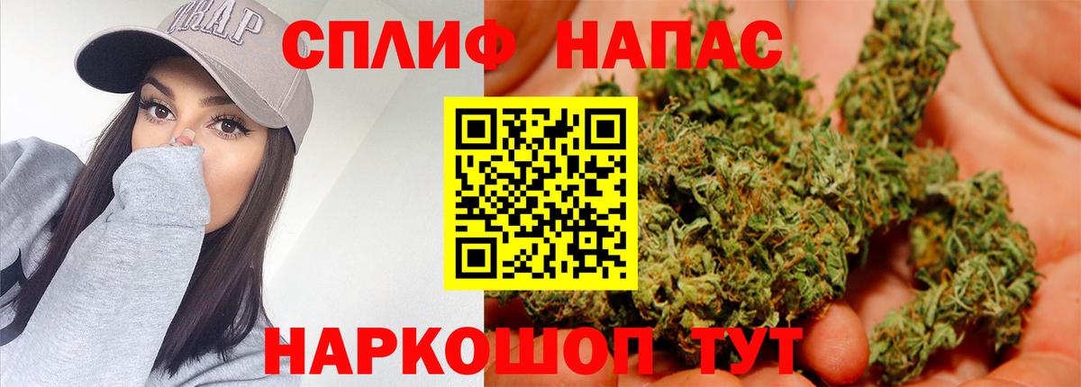 Конопля гибрид Рославль
